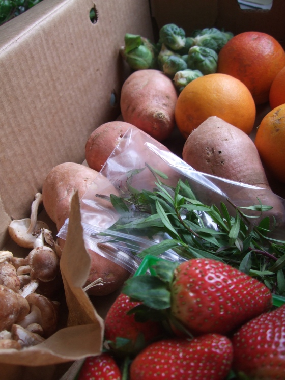 Weekend produce box from the Hollygrove Farm & Market - local, sustainably-grown strawberries, shittake mushrooms, tarragon, sweet potatoes, blood oranges, and brussel sprouts. Enjoyed the "fruits" of a more mild climate than Kansas!