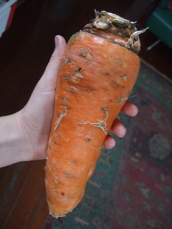 Did you know that carrots could be like this?